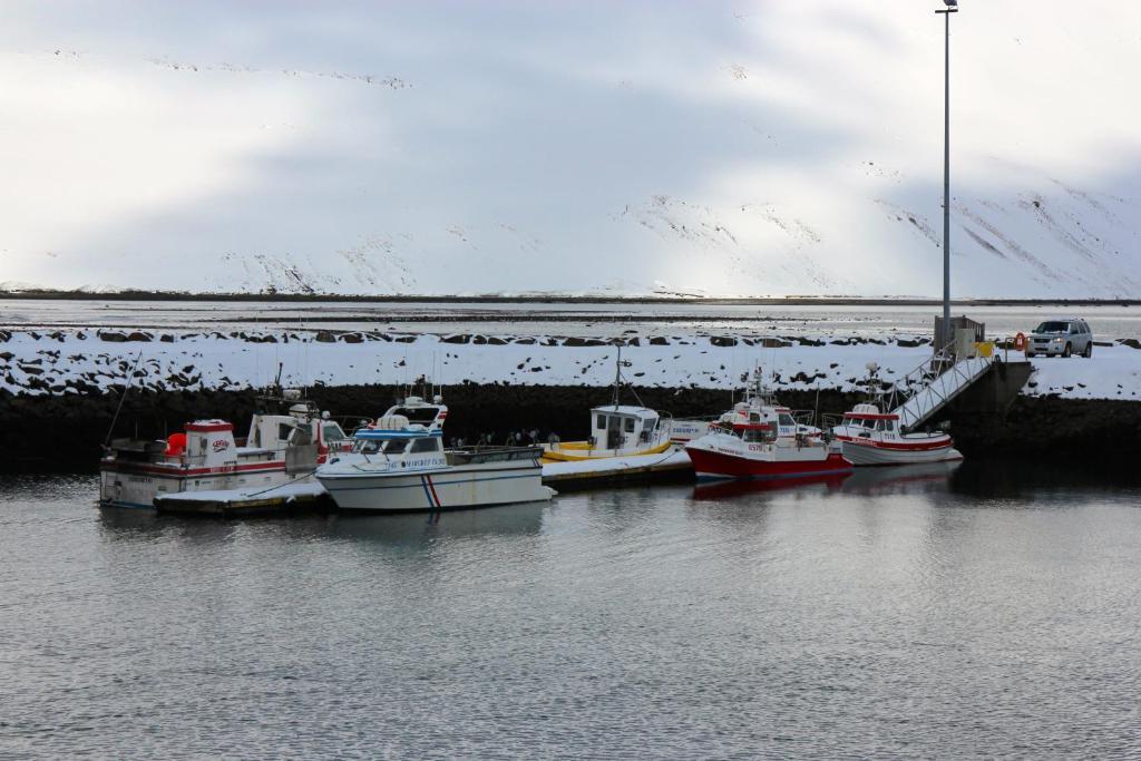 Comfy Guesthouse Westfjords Sudureyri المظهر الخارجي الصورة